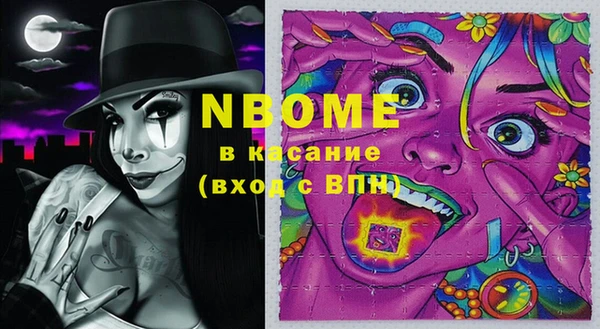 индика Абаза