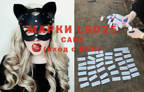 ECSTASY Алзамай