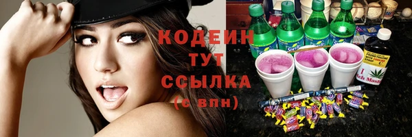ECSTASY Алзамай