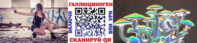 даркнет состав  Ессентукская  Псилоцибиновые грибы Psilocybe 
